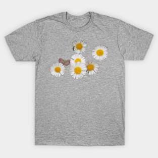 A bunch of daisy's T-Shirt